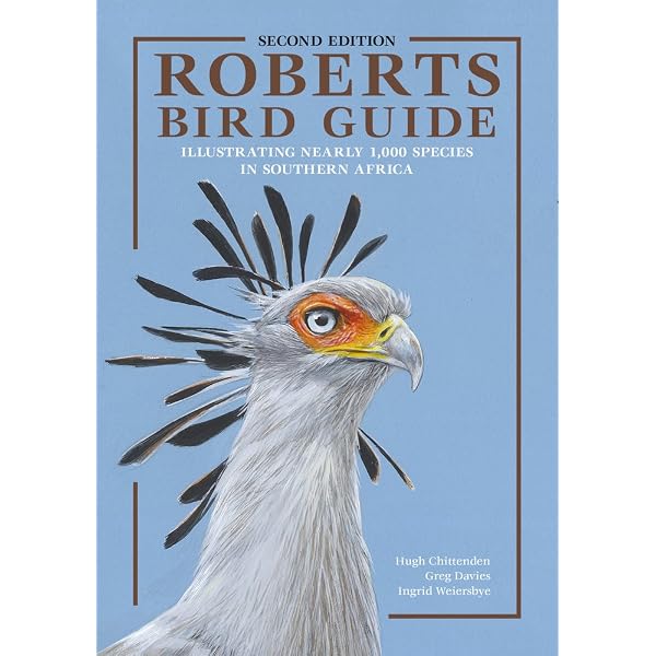Newman's Birds by Colour: Southern Africa's Common Birds Arranged